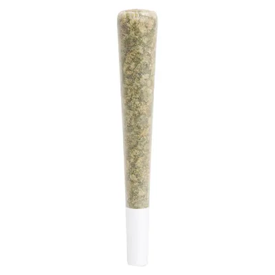 BRAIN FRUIT Live Rosin Infused Pre-Roll