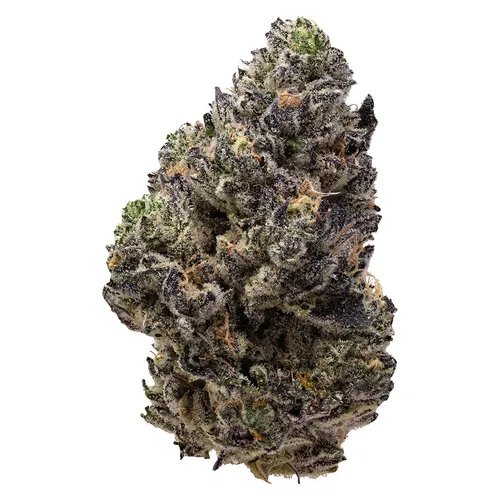 Pistol and Paris - Permanent Chapo - Permanent Chapo 7g Dried Flower Pistol and Paris - Permanent Chapo - Permanent Chapo 7g Dried Flower