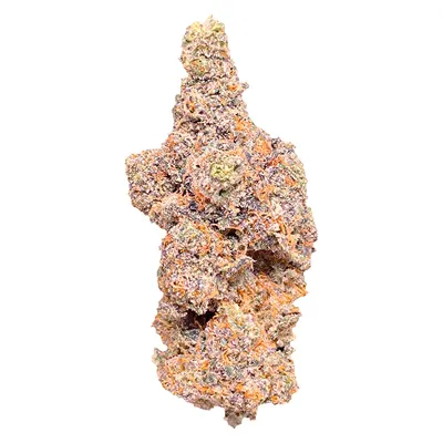 Barrie Exotic