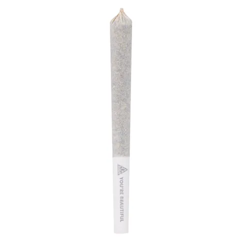 Coast Mountain Cannabis - BC Organic Dancehall Pre-Roll Coast Mountain Cannabis - BC Organic Dancehall Pre-Roll