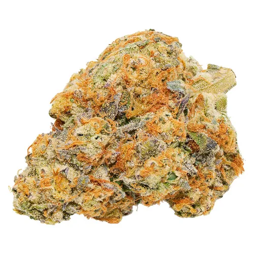 Morning Sun (Kitsilano Kush Cake x Secret Cookies x Kush Mints 11) Craft Whole Flower Morning Sun (Kitsilano Kush Cake x Secret Cookies x Kush Mints 11) Craft Whole Flower