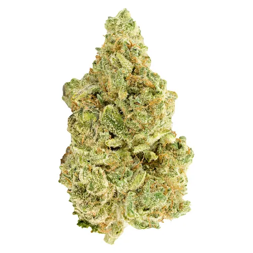 Versus - White Widow - Sativa Versus - White Widow - Sativa