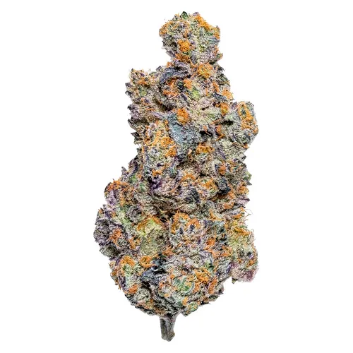 Reptilian Reserve (Ice Cream Cake)