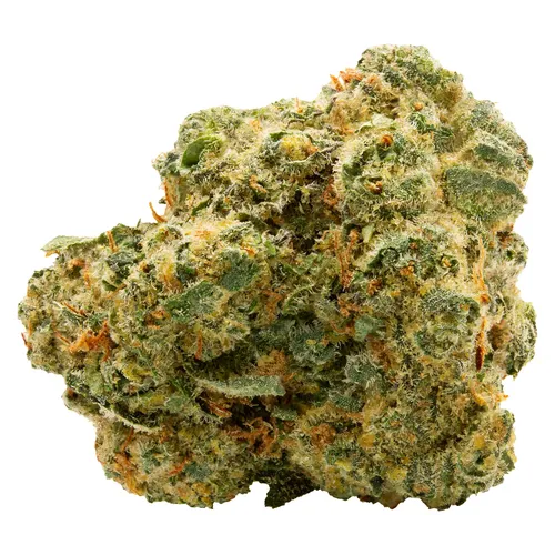 Blue Thai (Sour Blueberry x Lemon Thai)