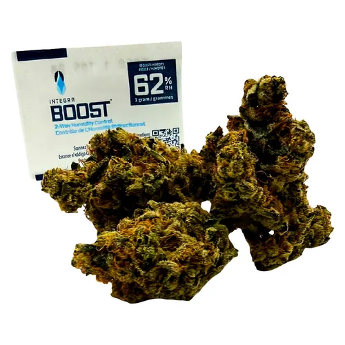 SPACE RACE CANNABIS - Space Goblins - Space Goblins 3.5g Dried Flower SPACE RACE CANNABIS - Space Goblins - Space Goblins 3.5g Dried Flower