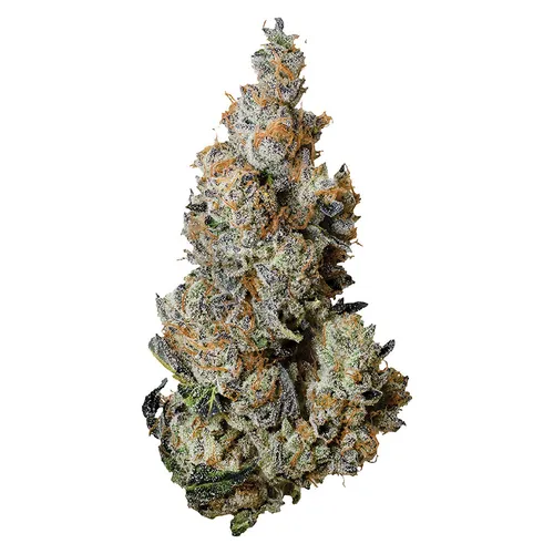 Tribal TRIPLE BURGER Indica Flower 3.5g