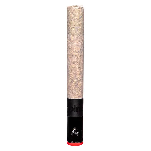 The Magnum Pre-Roll (Noir Dominant)