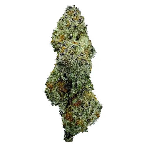 Rotational Selection OZ (Kerosene Cream) | 28g
