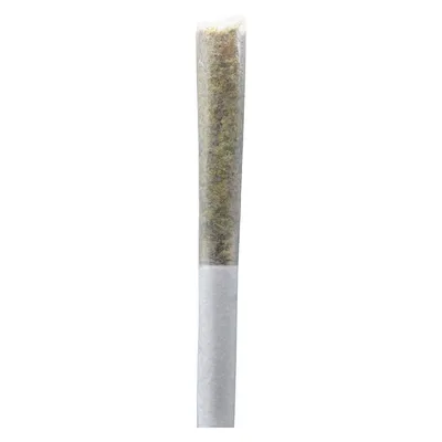 Permanent Gusher Pre-Roll
