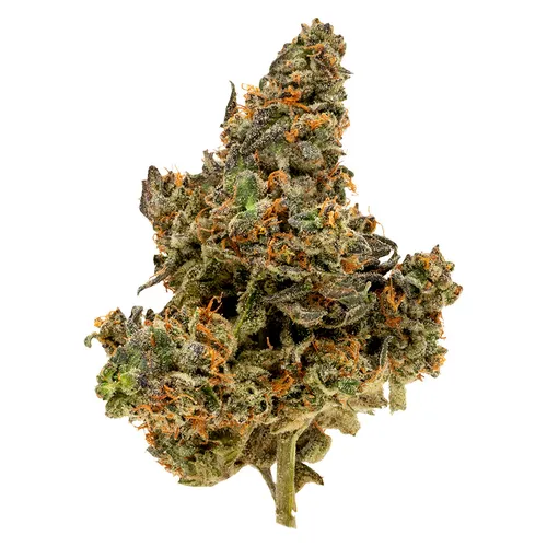 BC Organic Power Mintz