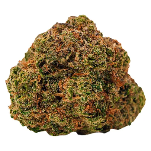 BOLD - Cool Aid Kush - 3.5g BOLD - Cool Aid Kush - 3.5g