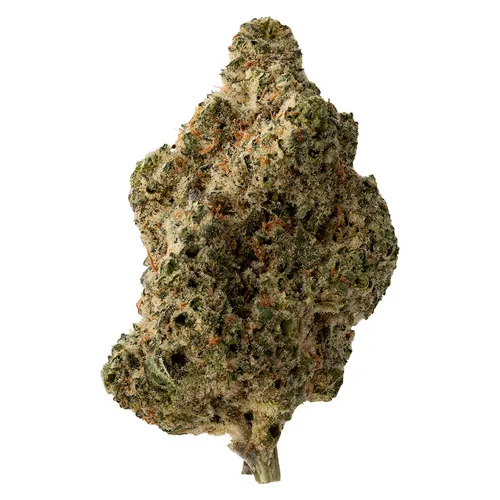The Loud Plug - Purple Rain - 7g