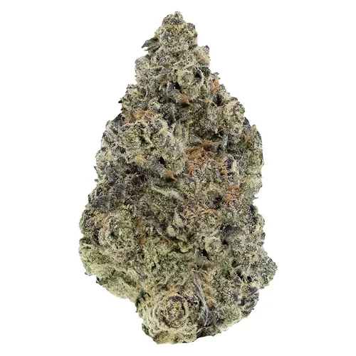 Sunset Sherbet (Girl Scout Cookies x Pink Panties) Sunset Sherbet (Girl Scout Cookies x Pink Panties)
