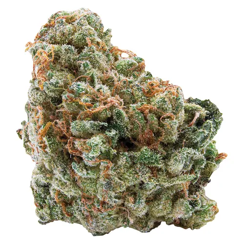 Spinach - Wedding Cake - Wedding Cake 3.5g Dried Flower