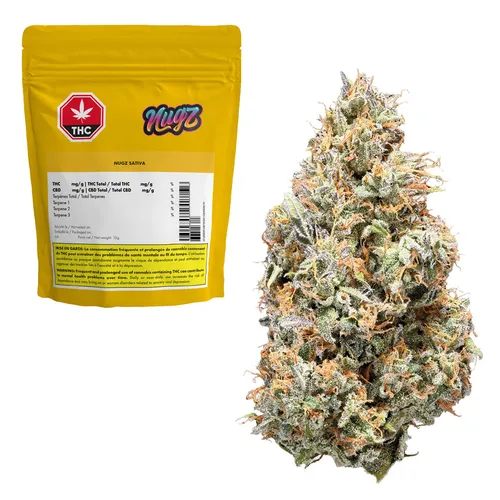 Sativa - Nugz