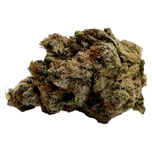 El Jefe (Animal Mints x Sherb Cake) El Jefe (Animal Mints x Sherb Cake)