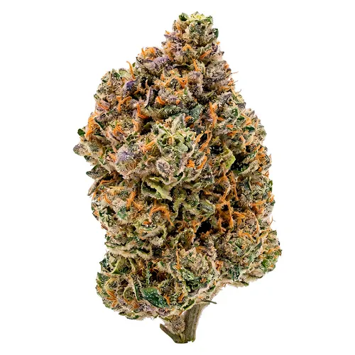 Triangle Kush - Clock In 3.5g Dried Flower