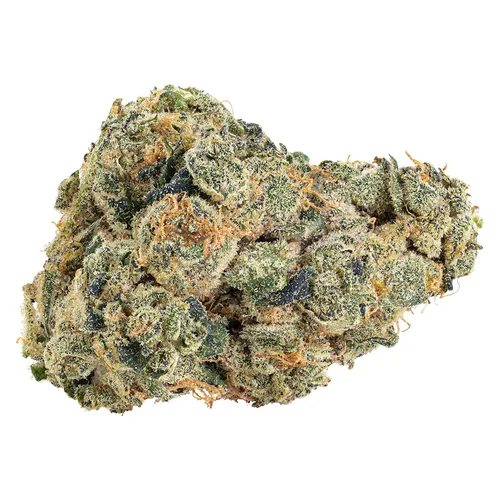UK Cheddar Cheese (Super Skunk x Platinum GSC) UK Cheddar Cheese (Super Skunk x Platinum GSC)