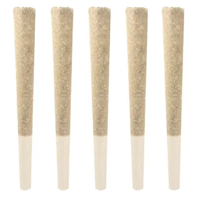 Jackson 5 Variety pack