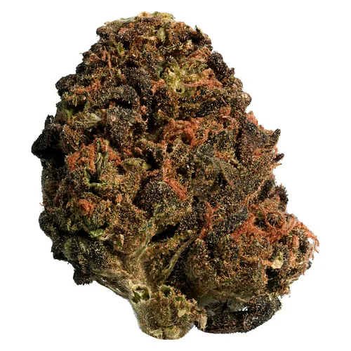 Sun Grown Mango Sapphire Flower