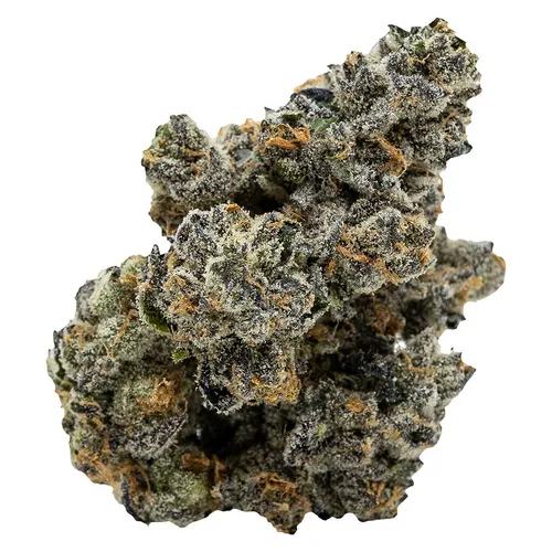 BLACKBERRY BREATH (Purple Punch x Black Cherry Pie)