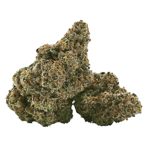 100K (White Truffle x Red Runtz) 100K (White Truffle x Red Runtz)