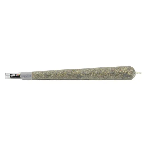 Javelin Premium Glass Tip Pre-Roll (BC Hash Plant x Space Queen) Javelin Premium Glass Tip Pre-Roll (BC Hash Plant x Space Queen)