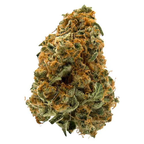 MTL Cannabis - Sage n' Sour Dried Flower - Sage n' Sour 14g Dried Flower MTL Cannabis - Sage n' Sour Dried Flower - Sage n' Sour 14g Dried Flower