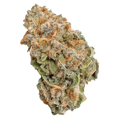 Indica