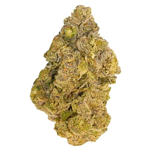 Broken Coast - Cherry Ztripez