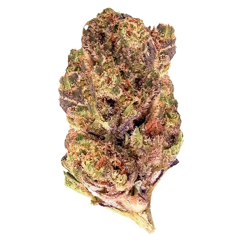Grape Pie (Citron Cookies x Biker Kush)