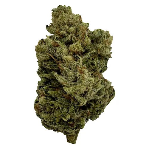 Lemon Crisp (Animal Face x Lemon OG) Lemon Crisp (Animal Face x Lemon OG)