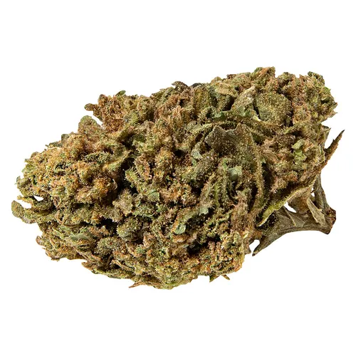 Wholehemp Premium CBD Dried Flower