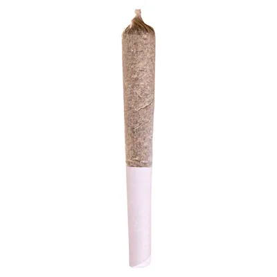 Beaver Tail Pre-Roll