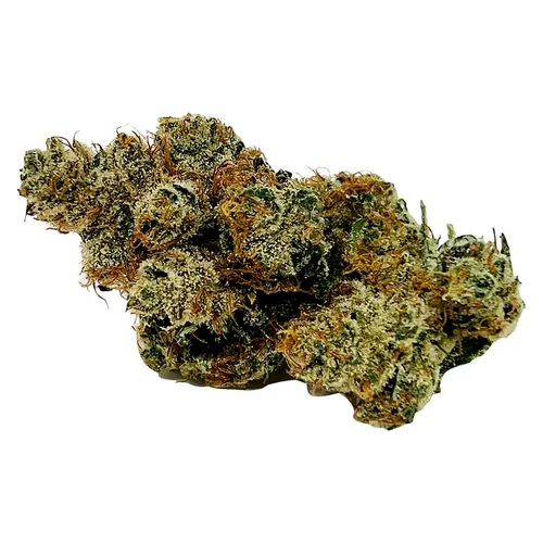 CALI - Mmmosa EVO - Sativa - 14g