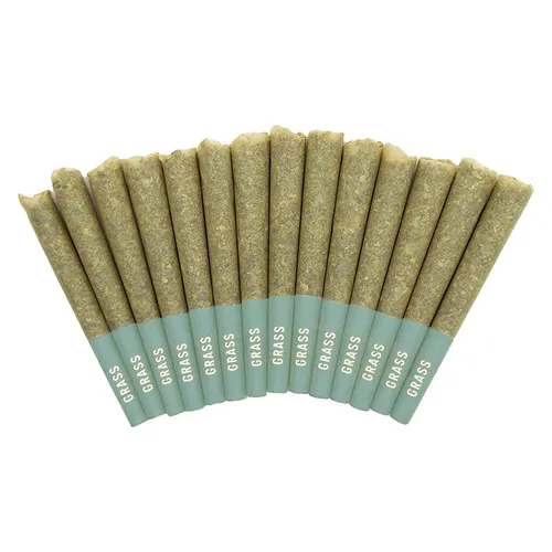 Bangerine Pre-Roll