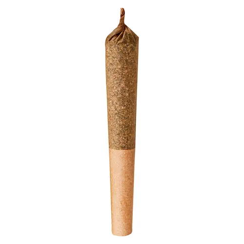 Junior J Pre-roll
