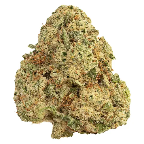 East Coast Terpz - Small Batch Craft Whole Flower (Imperial Funk) - Small Batch Craft Whole Flower 3.5g Dried Flower