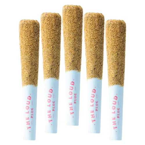 The Loud Plug - Drippyz Bubba Joon Infused Pre-Roll - Indica - 5x0.5g The Loud Plug - Drippyz Bubba Joon Infused Pre-Roll - Indica - 5x0.5g