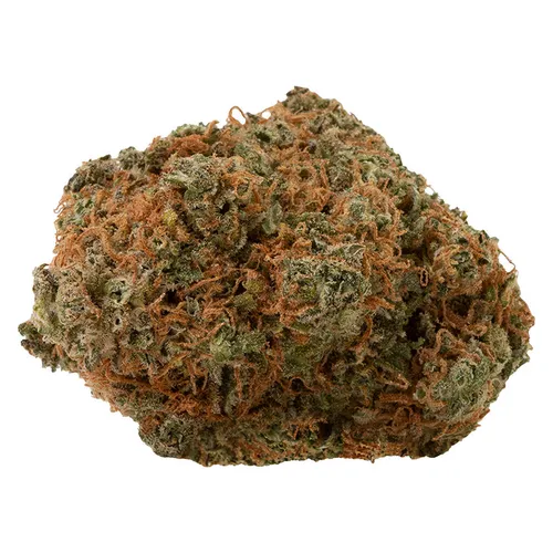 Fast Lane Sativa