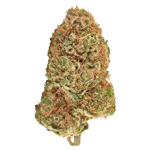 Carnaval Cannabis - Big Bang Sativa Smallz Carnaval Cannabis - Big Bang Sativa Smallz