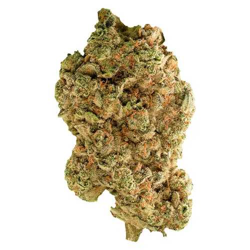 Lemon Razz (Meat Breath x Macmosa)