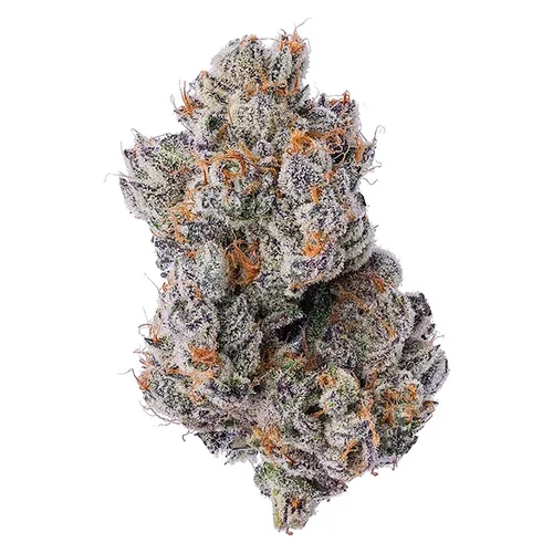 Coterie - Purple Zushi - 7g Coterie - Purple Zushi - 7g