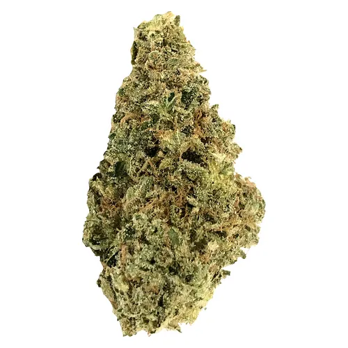 AAA+ Indica