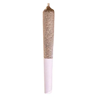 Mango Dream Pre-Roll