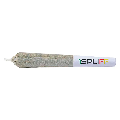 Orange Rntz Pre-Roll (African Orange x Rntz)