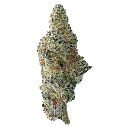 The Loud Plug - Tropicana Cookies - 14g