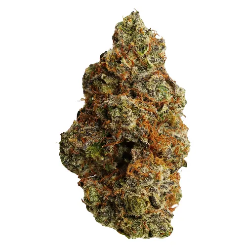 JOHNNY CAGE: Tropical Punch (Guava x Primal Punch) JOHNNY CAGE: Tropical Punch (Guava x Primal Punch)