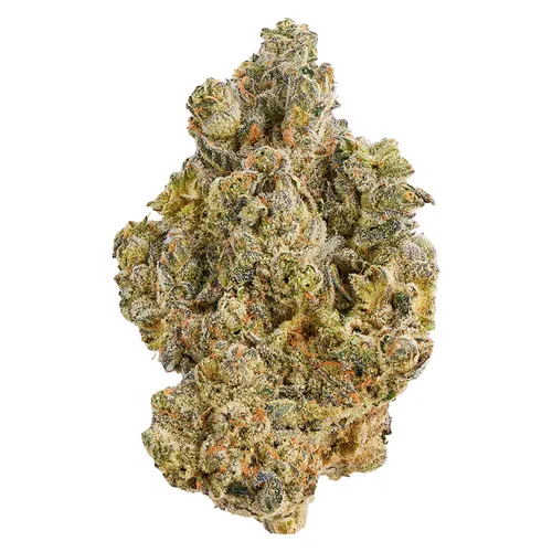 La Bomba