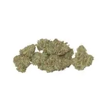 Good Buds Mango Cake Dried Flower